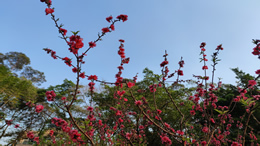 受台风“鹦鹉”影响 琼州海峡航线于6月13日15:00时起全线停航