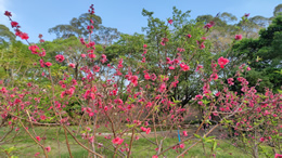 京珠北高速因边坡滑塌导致交通中断，请司机绕行