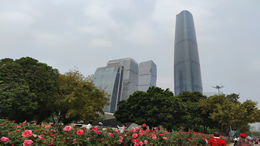 李玟腿伤住院，发文称希望你们等我回来